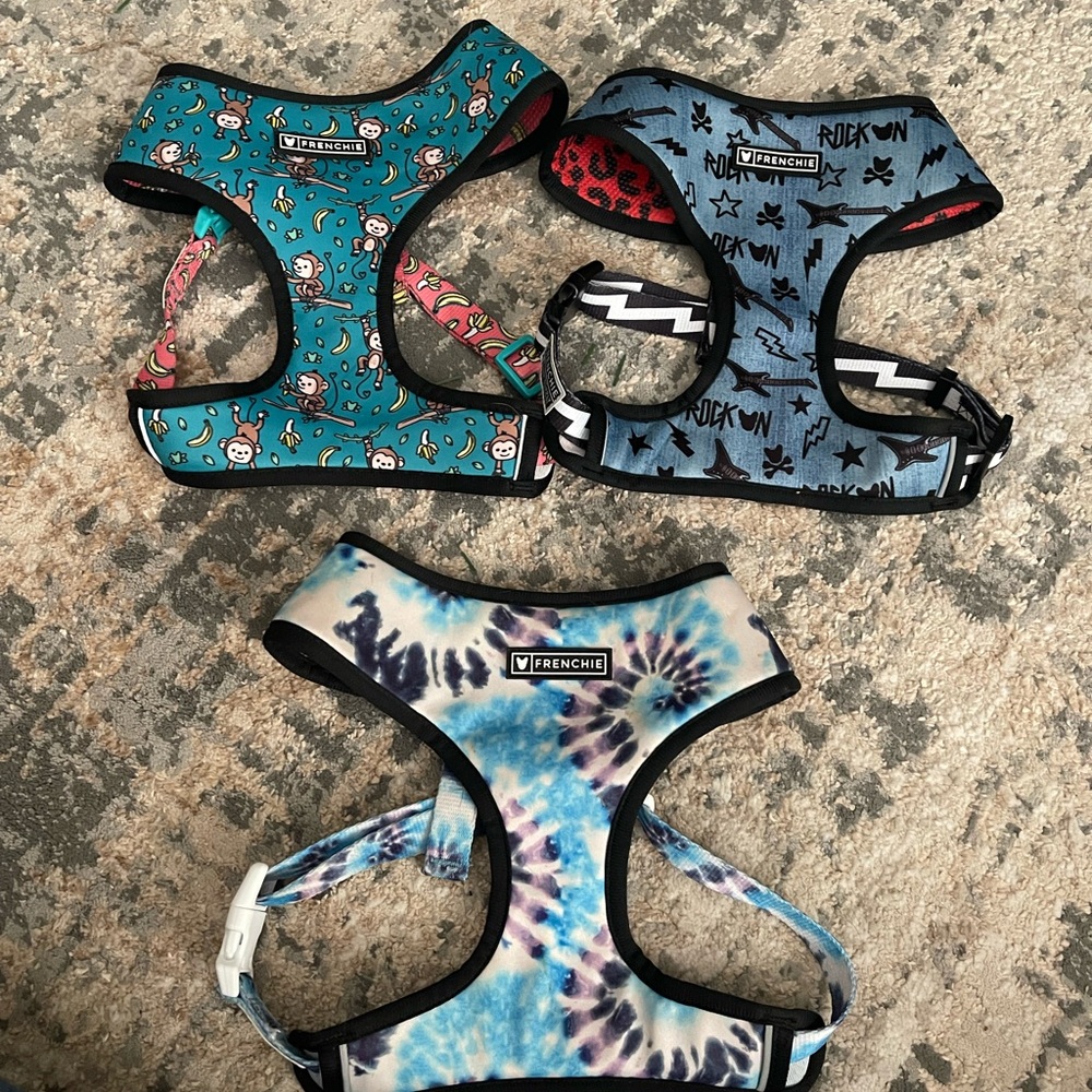 3 Frenchie Bulldog Dog Harness size XL